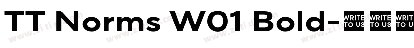 TT Norms W01 Bold字体转换 TT Norms W01 Bold字体转换